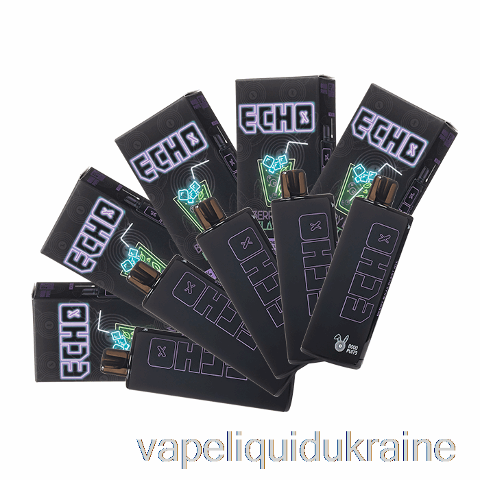 Vape Ukraine [10-Pack] ECHO 8000 Disposable